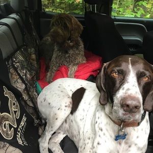 Meet your Posher, Ryan